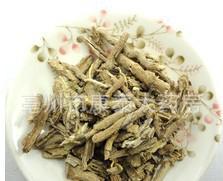 地骨皮 清热解乏的优质中药材饮片，支持大量批发与加工