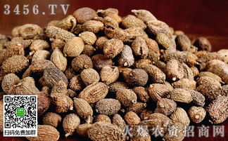 中药材与放射性药品的冬季管理技术要点解析