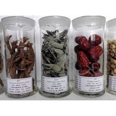 神草金方 手工制作中药材标本中的匠心与文化传承