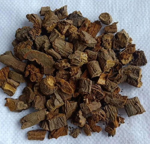 中草药引领水产健康养殖 成都百草汇的核心理念与实践